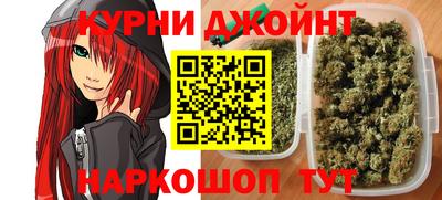 индика Будённовск
