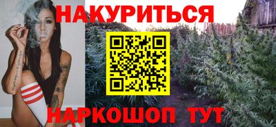 индика Будённовск