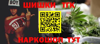 индика Будённовск