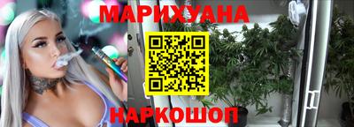 индика Будённовск