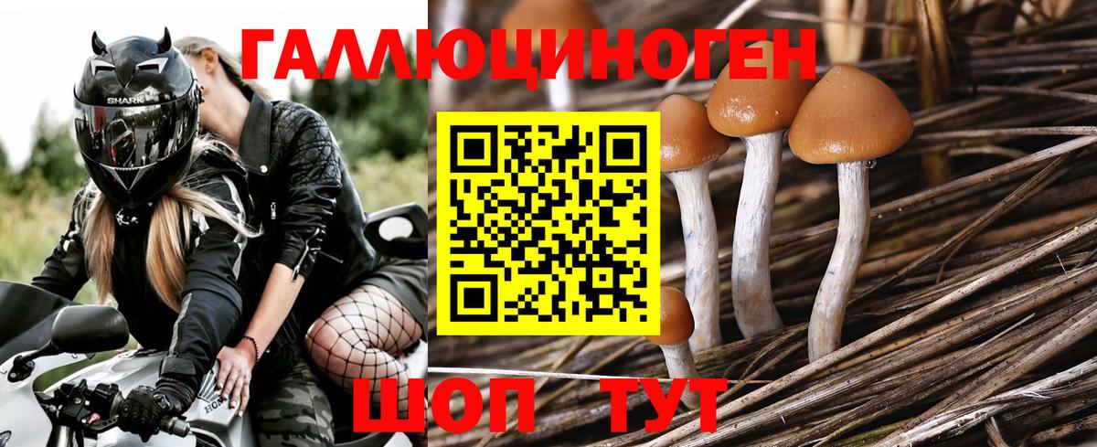 Псилоцибиновые грибы Magic Shrooms Бутурлиновка