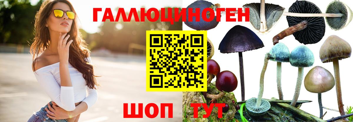 Бутурлиновка  Псилоцибиновые грибы Psilocybe  Вход с VPN 